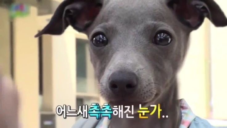 서진애드 이미지