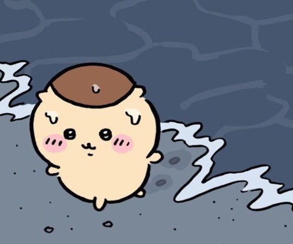 오！포토 이미지