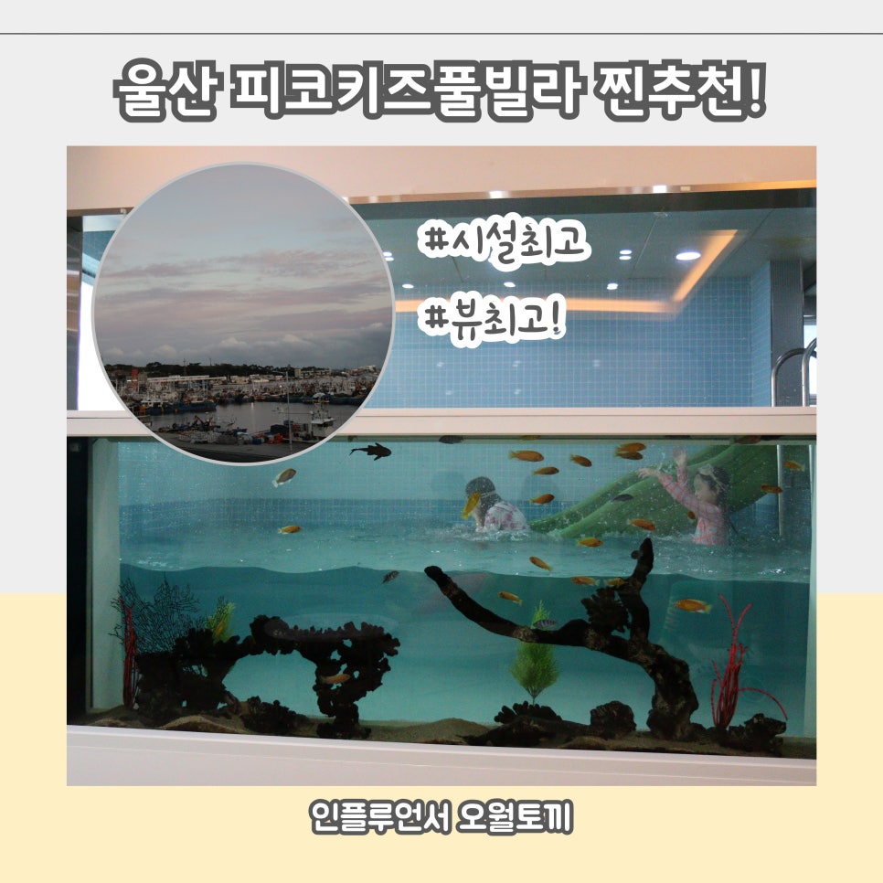 피코정수기 이미지