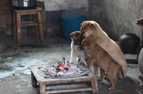 산수연가 이미지