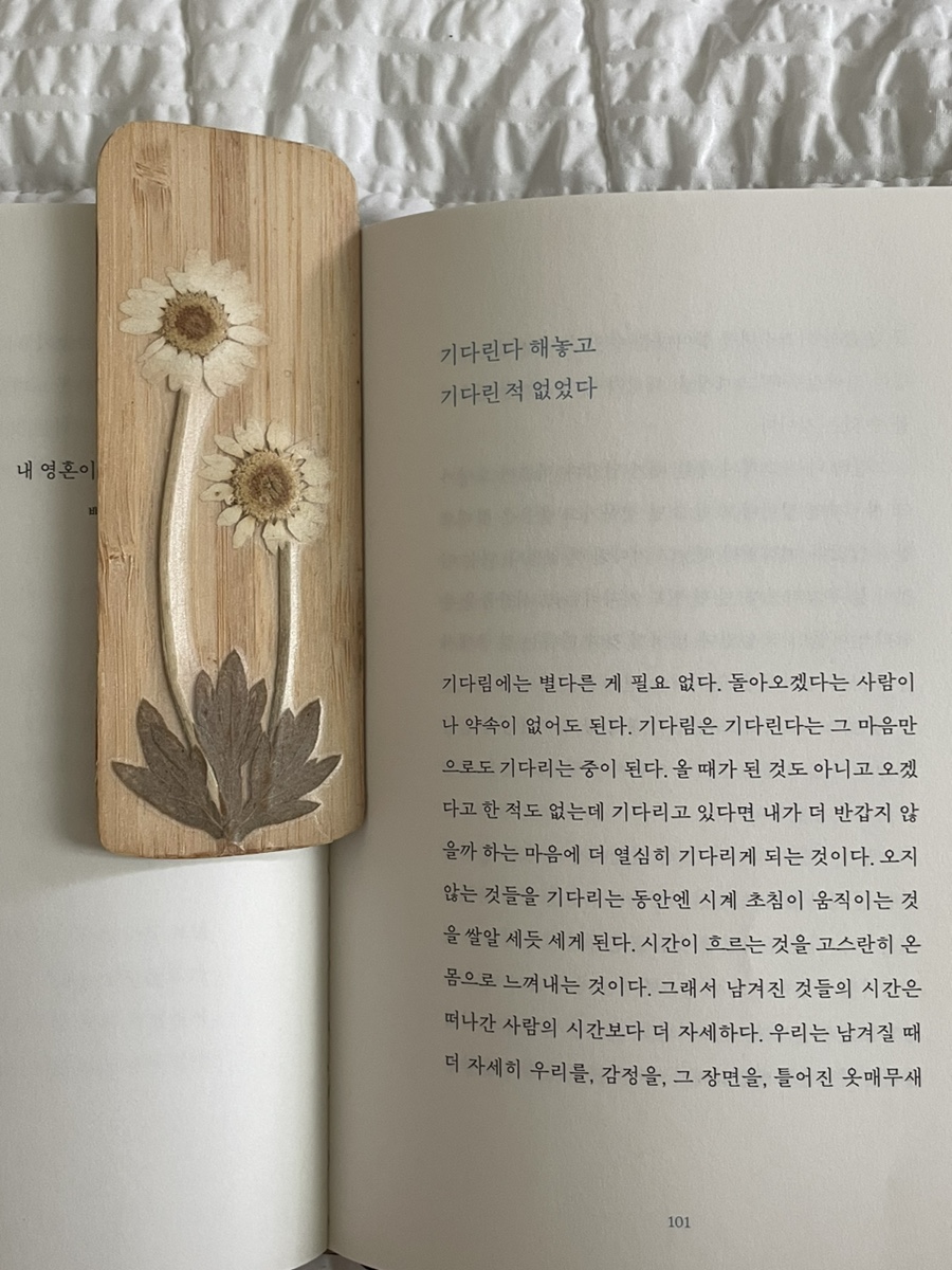널;닮은꽃 이미지