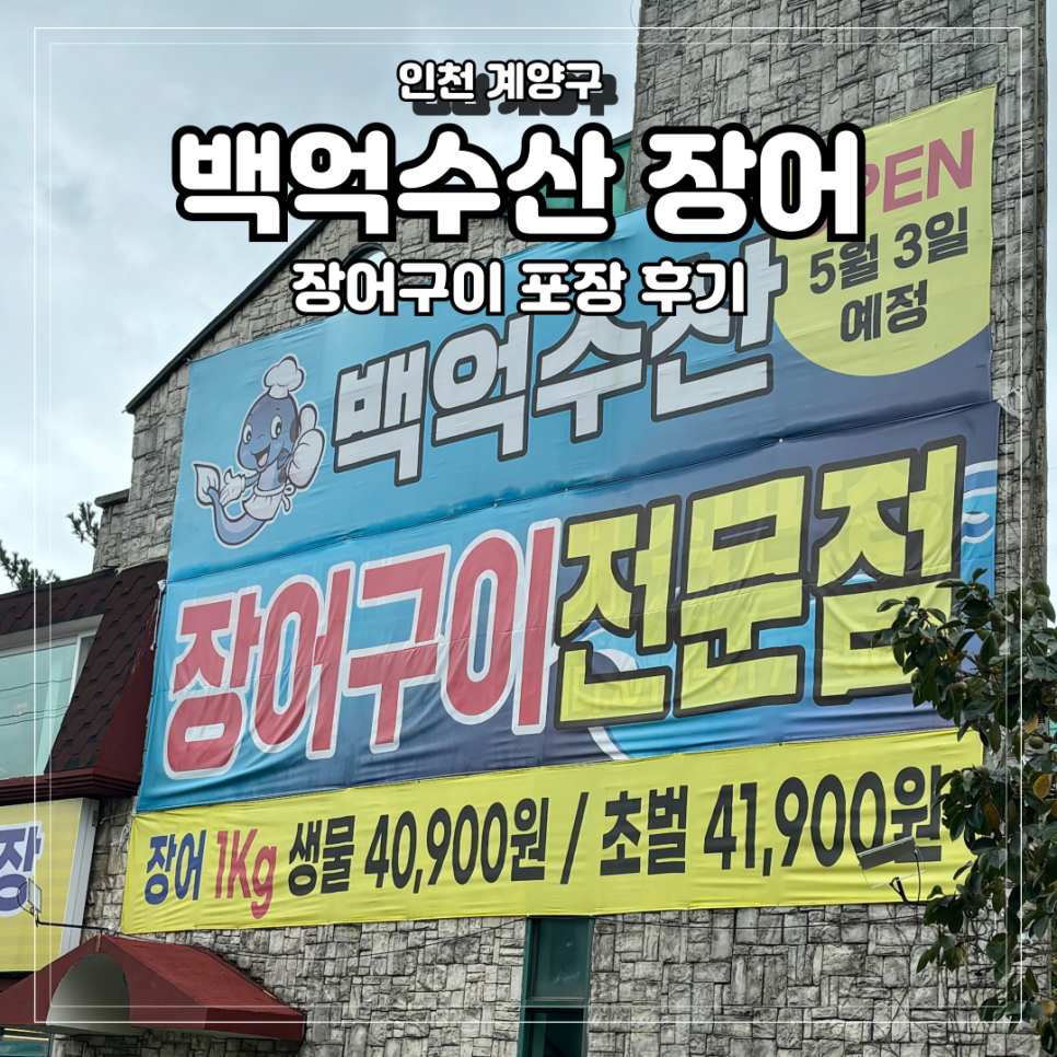 백억장어 이미지