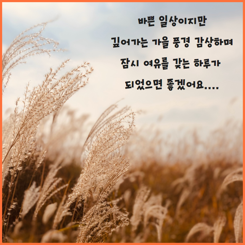 제이와이정보통신 이미지