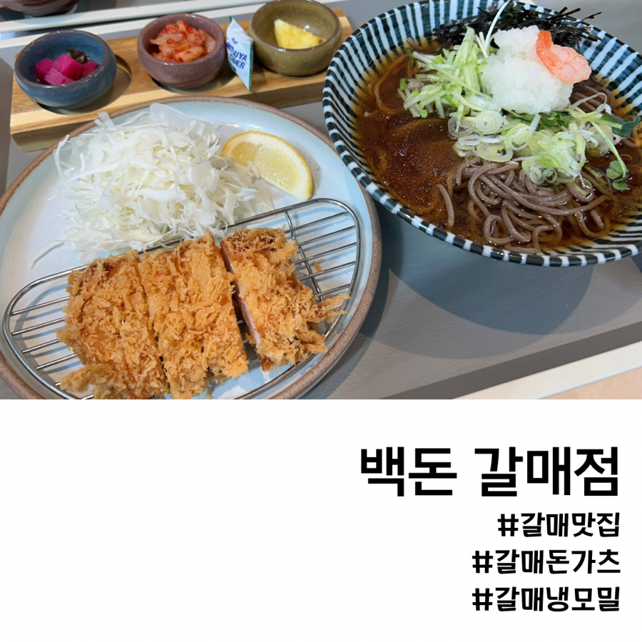 백돈 이미지