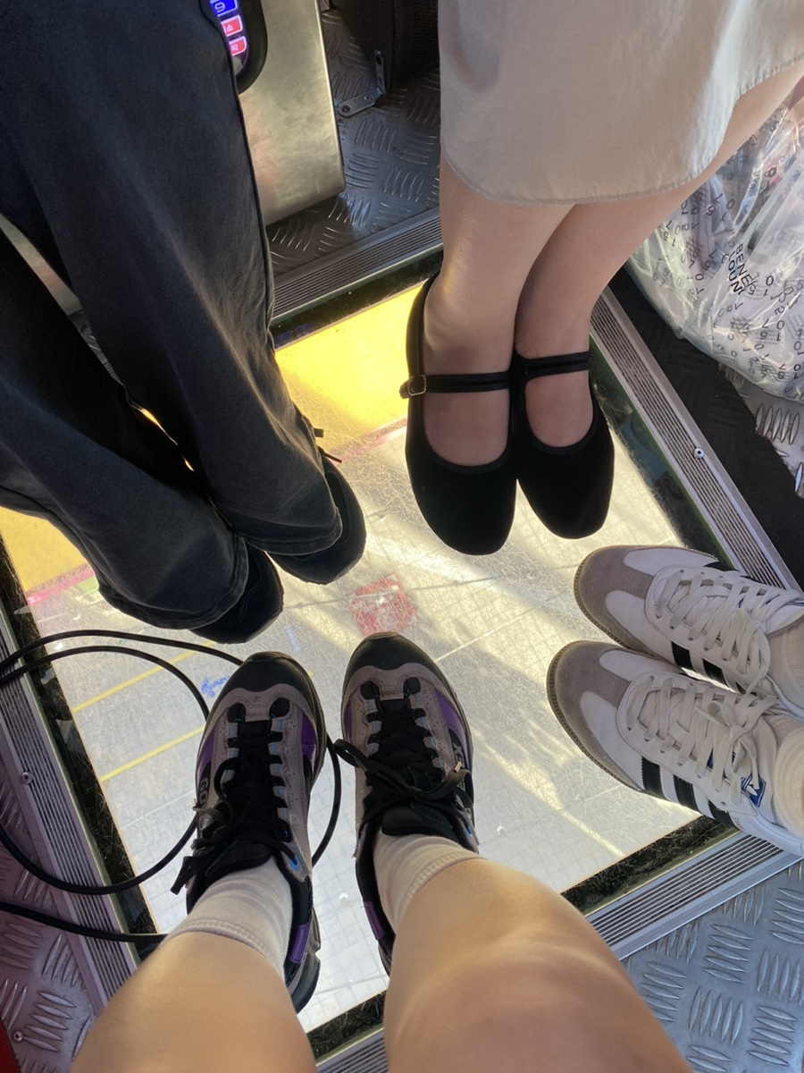 홀리데이비지터 이미지