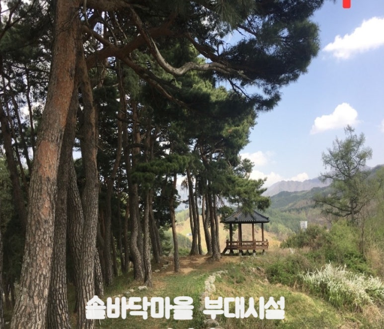 솔다박 이미지