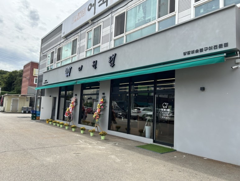더원 램 이미지