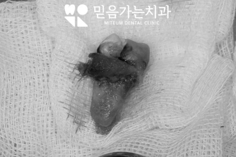 이환솔루션 이미지