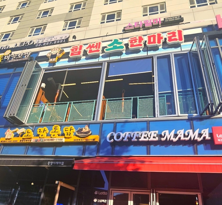 힘쎈소한마리 이미지