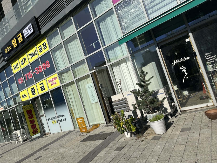 엑시드EX2D네일 이미지