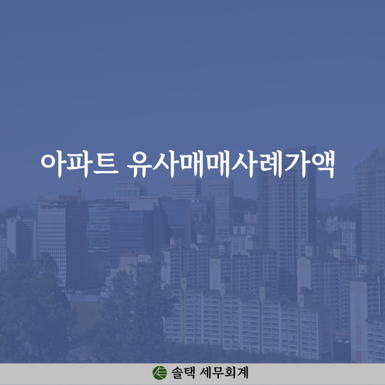솔택세무회계 이미지