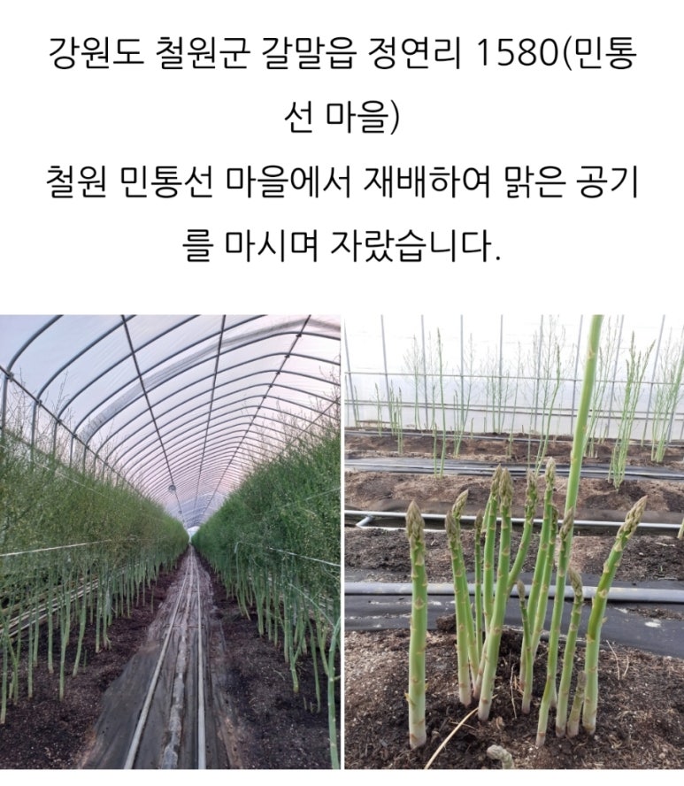 철원별난농장 이미지