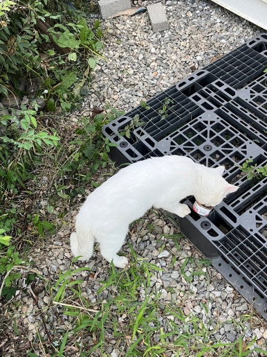 카페든해 이미지