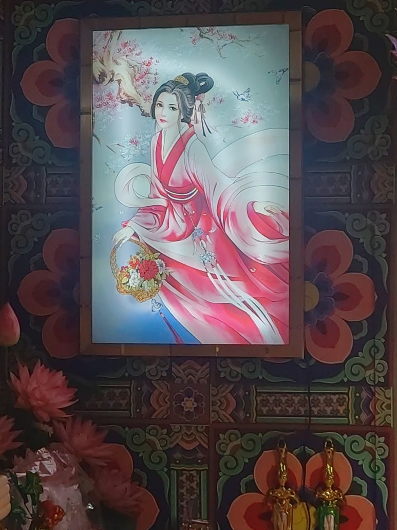 매화아씨 이미지