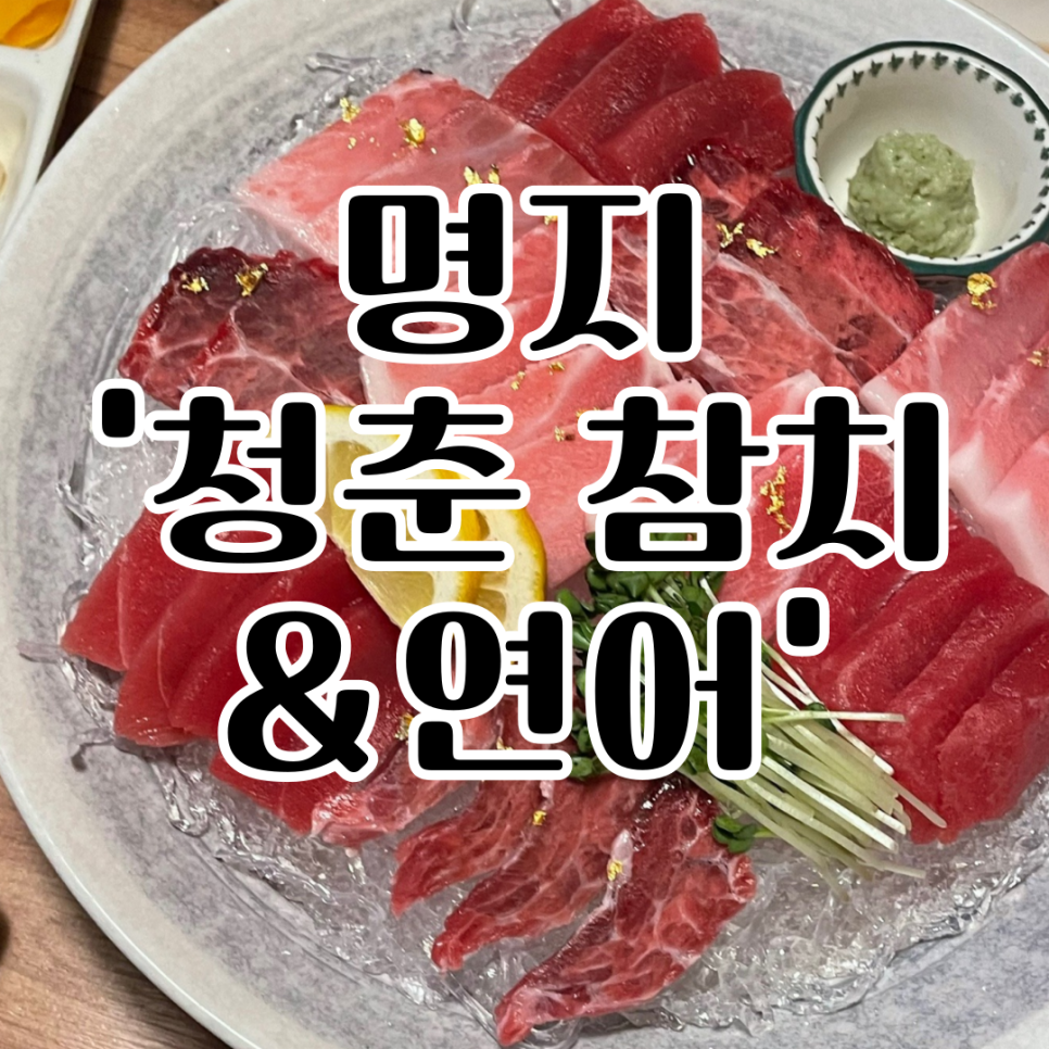 청춘참치 이미지