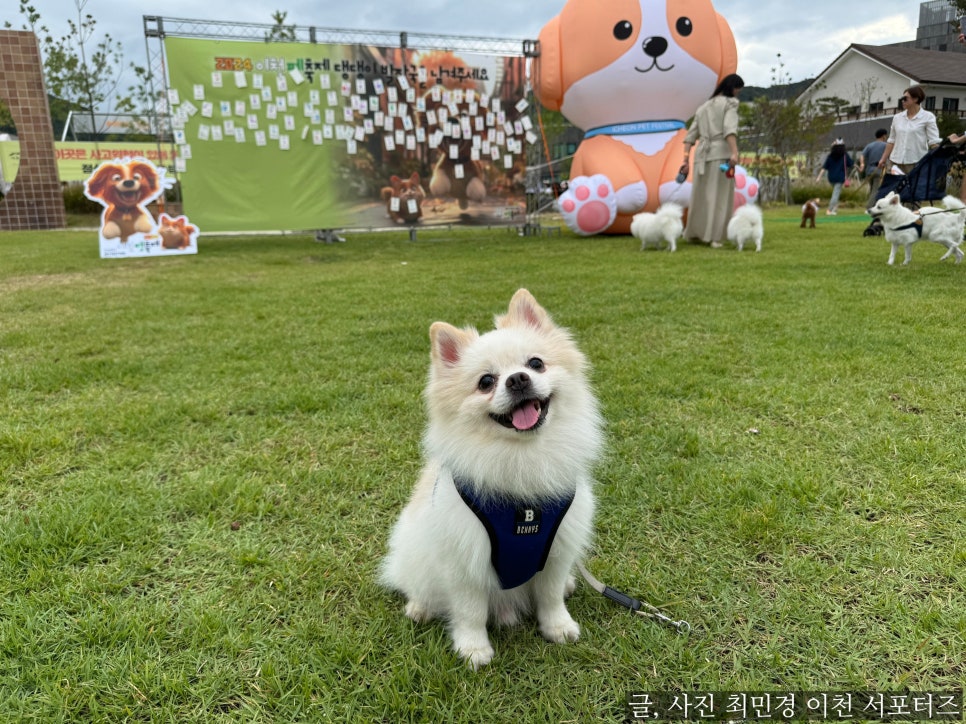 국가대표푸드마켓 이미지
