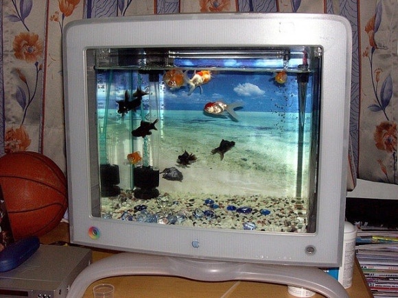 해마의방 이미지