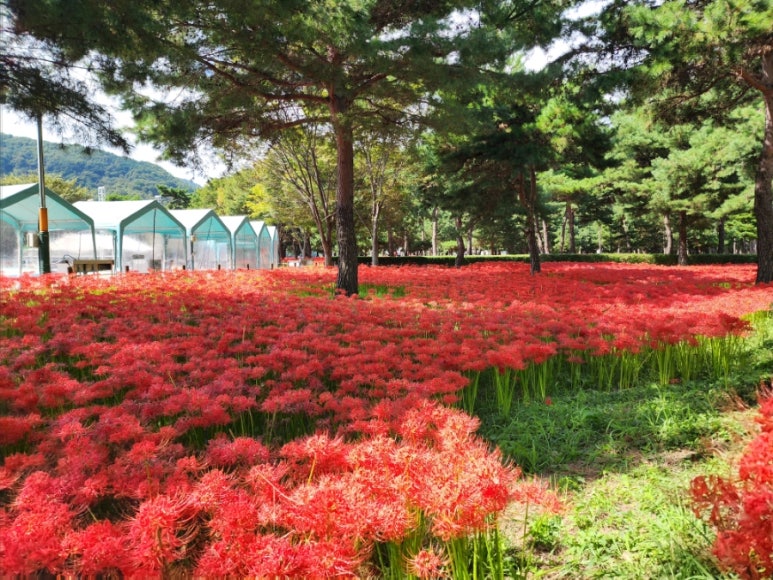 지리산농부마을 이미지