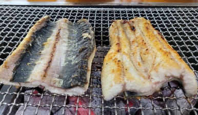 강화갯벌장어직판장 이미지