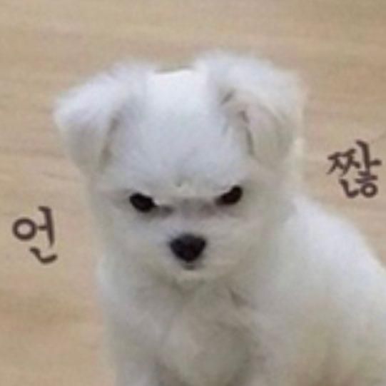 동북인가-훠궈애 이미지
