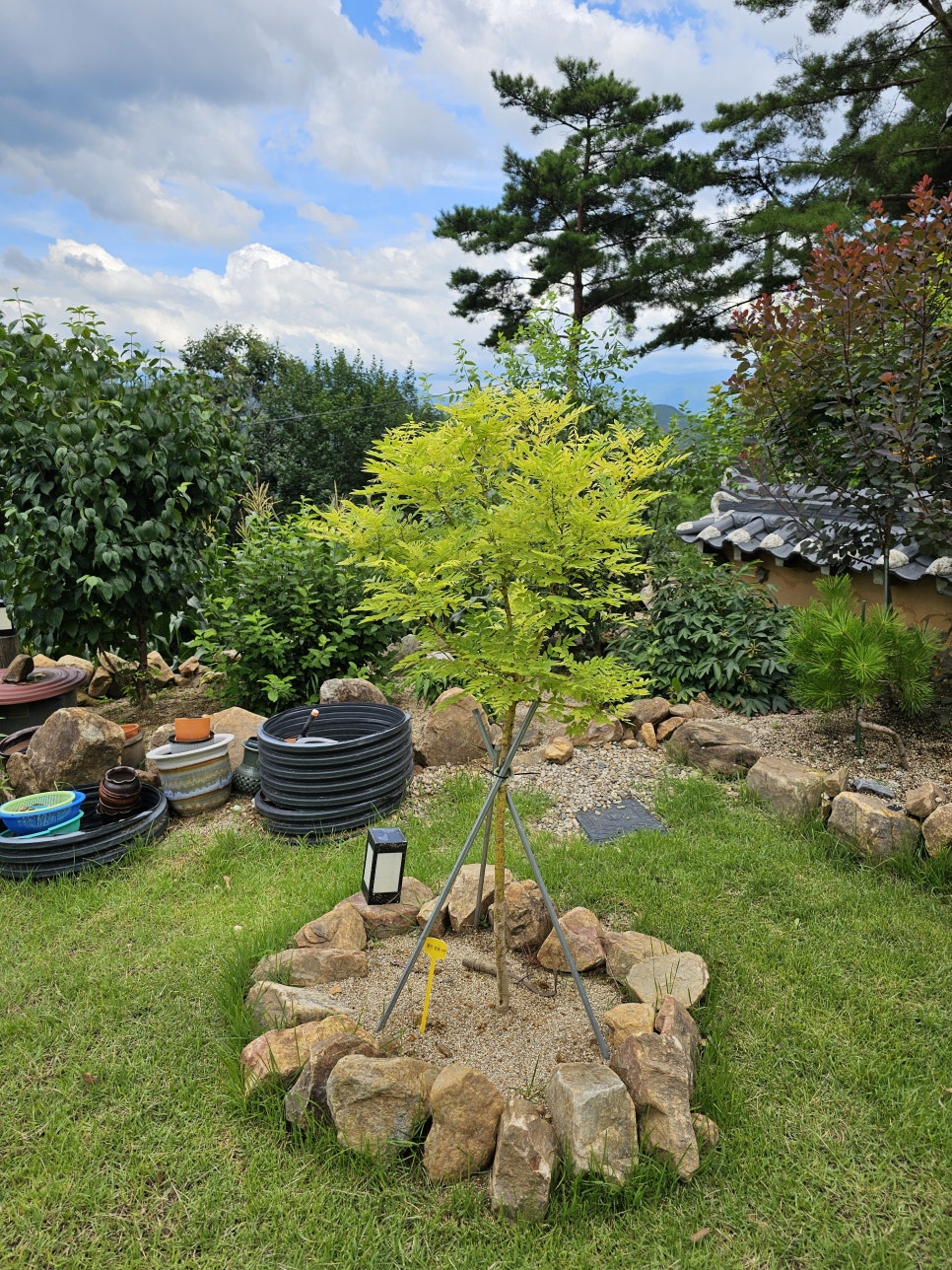 금수산한옥적성재펜션 이미지