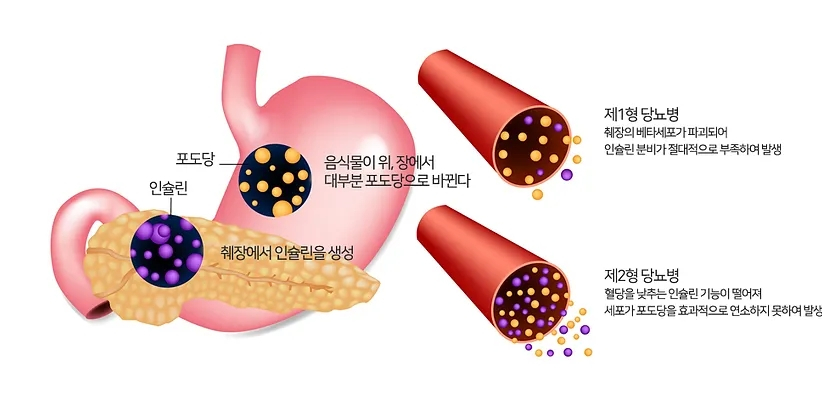 분당본내과의원 이미지