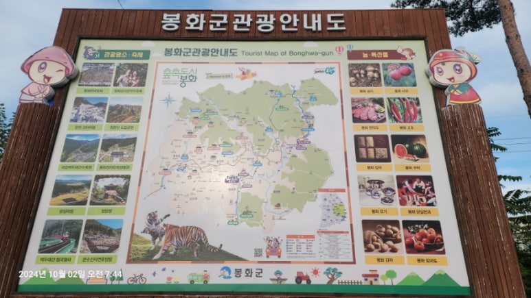 춘양목호스텔 이미지