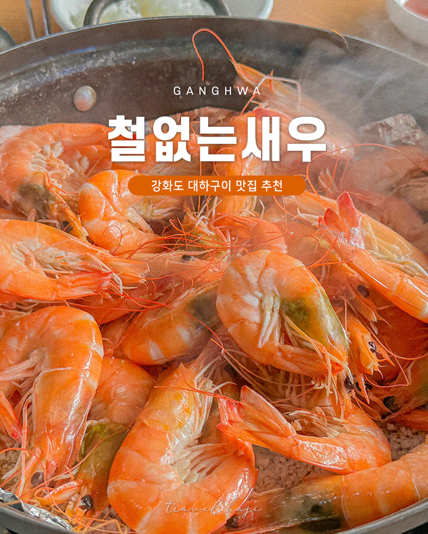 철없는 새우 이미지