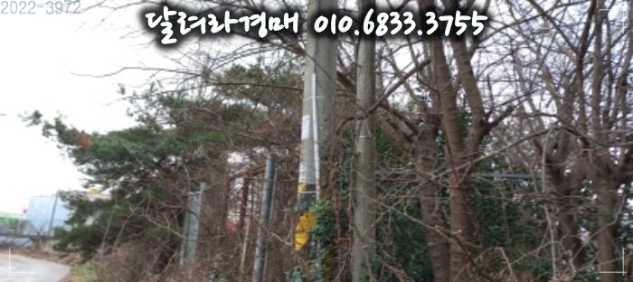 평택주유소 이미지