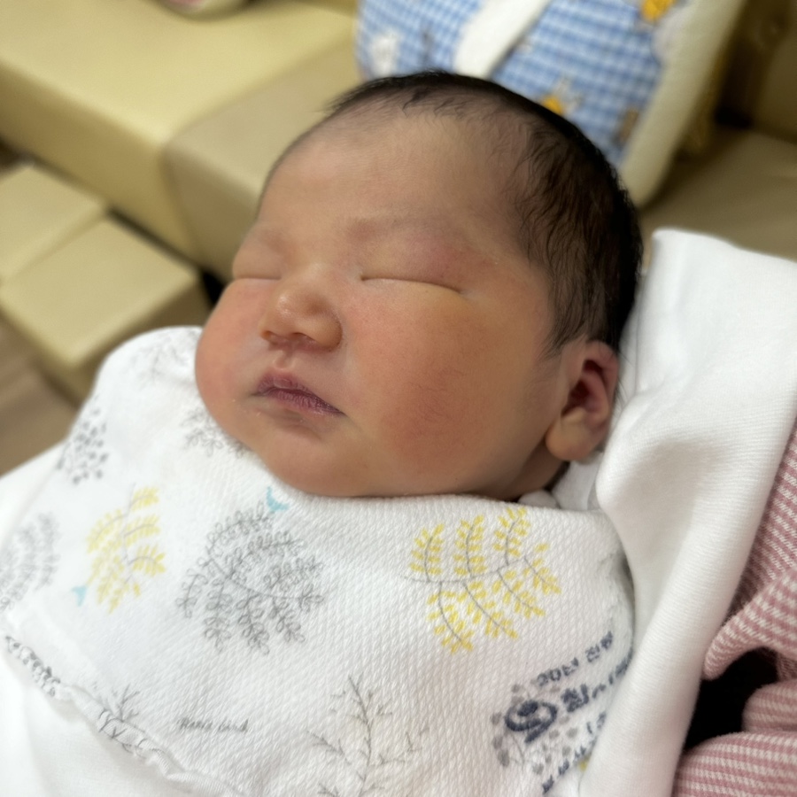 금줄베이비시터코리아 이미지