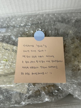 쿠키피시카페 이미지