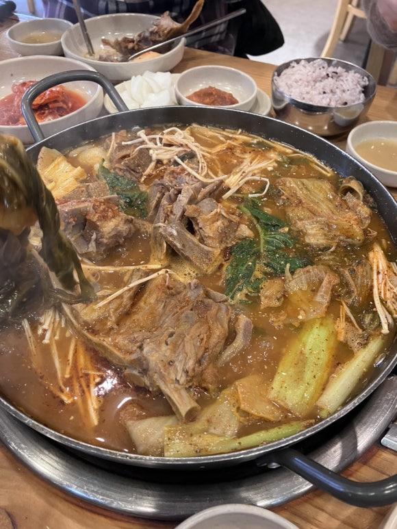 미우아우 이미지