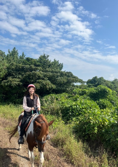 제주다시 이미지