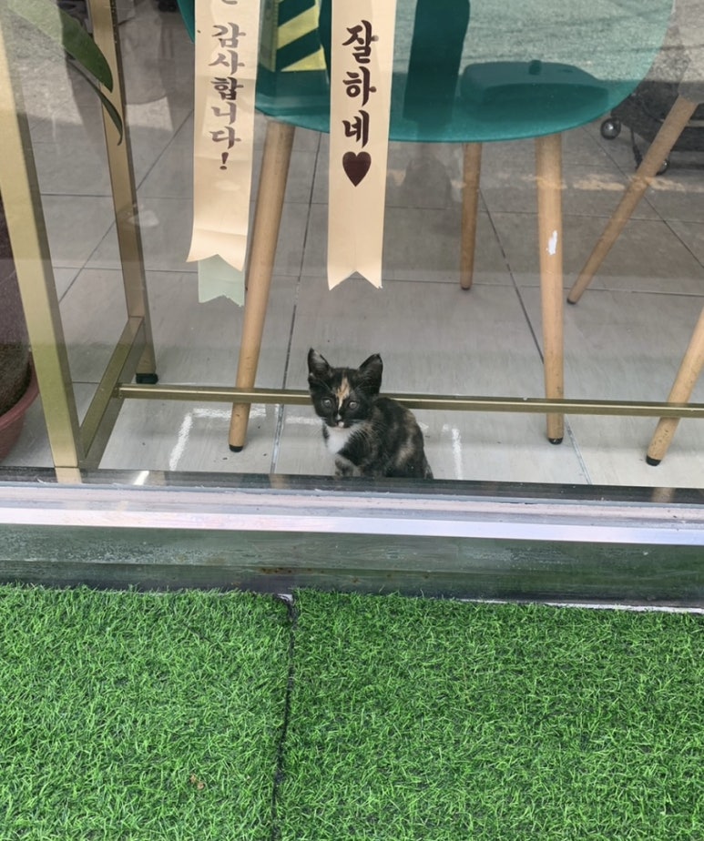 핫플헤어 이미지