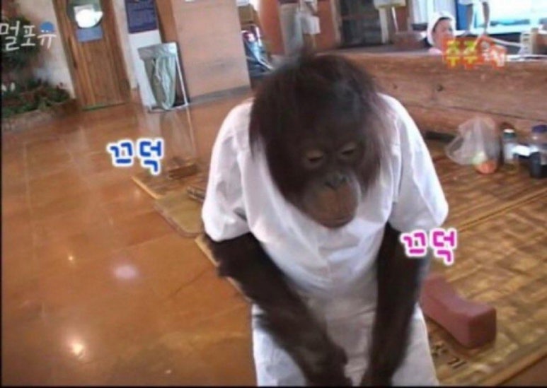 수무 이미지