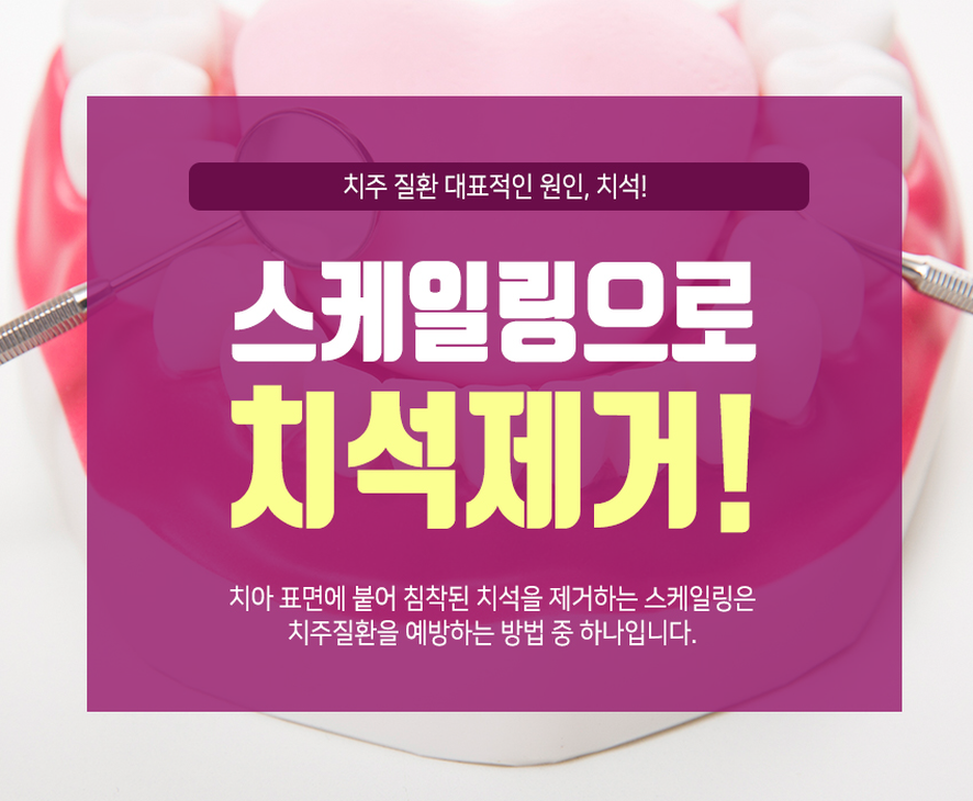 성모본치과 이미지