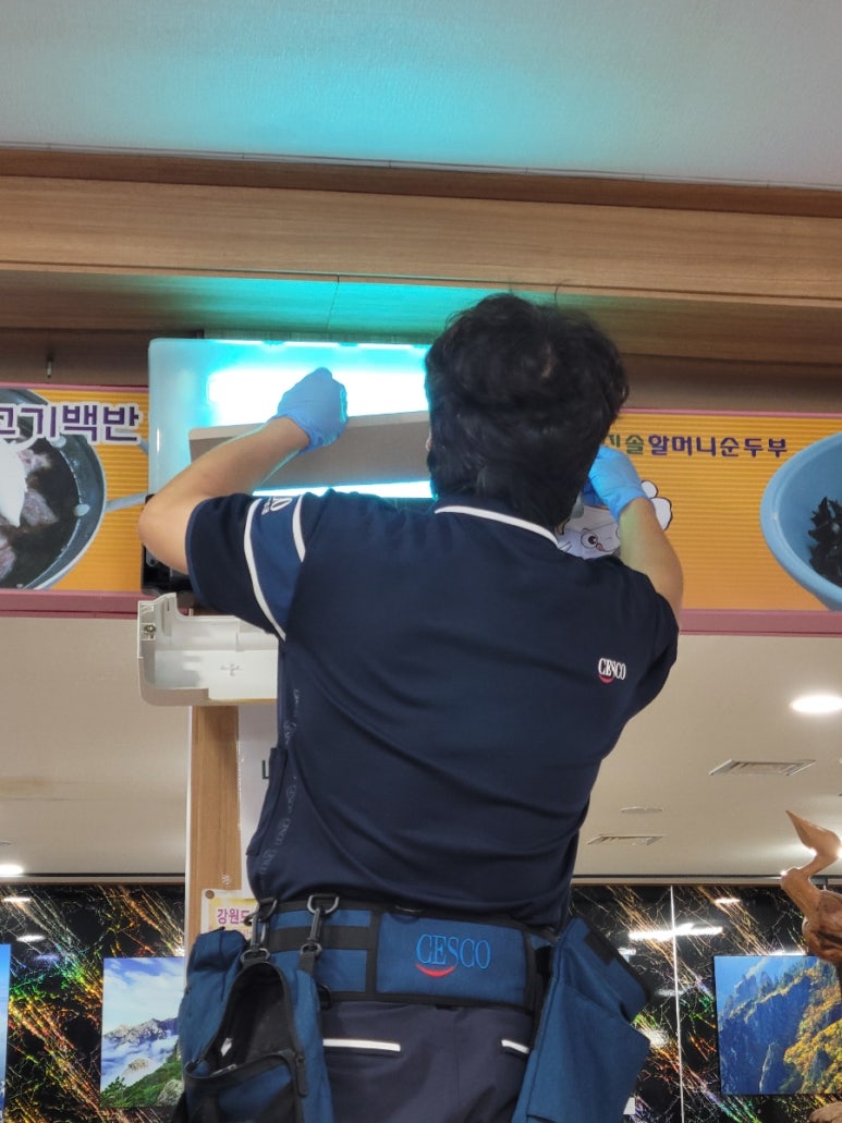 진솔방역 이미지