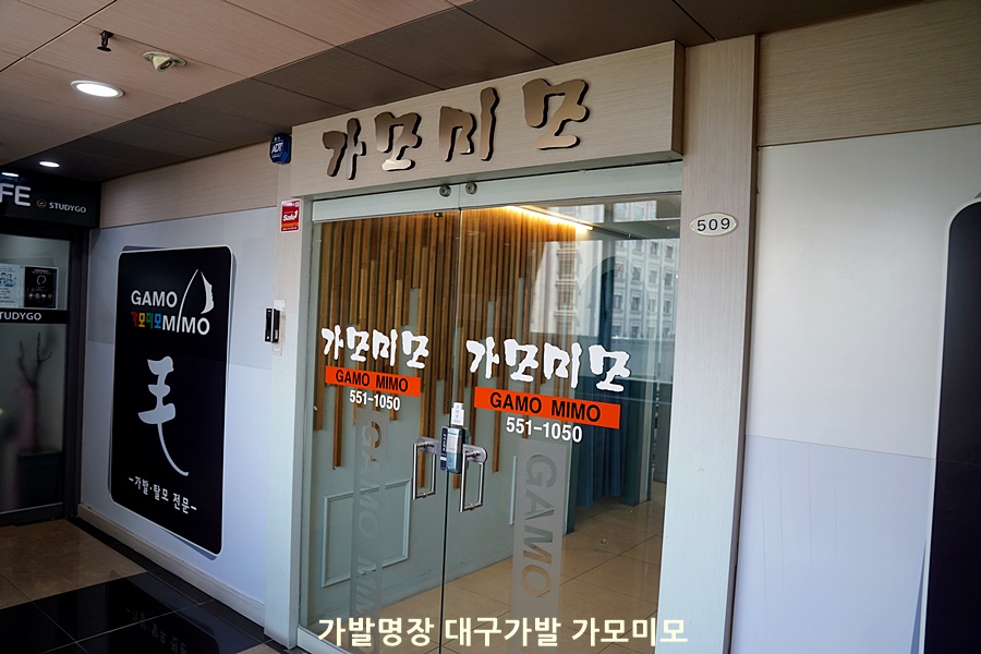 가모미모 이미지
