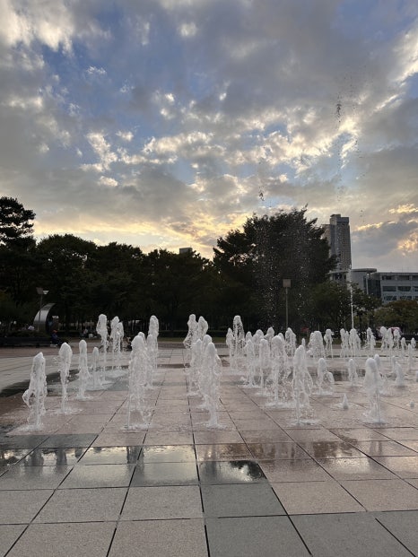 막스로스터스 이미지