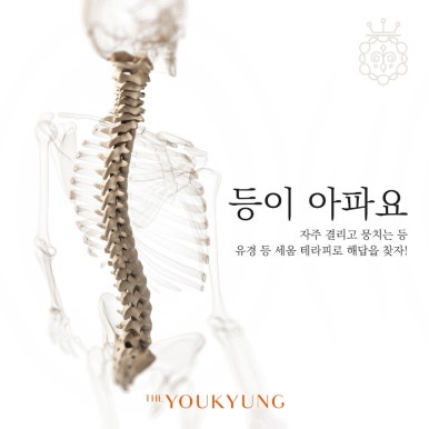 수정에스테틱 이미지