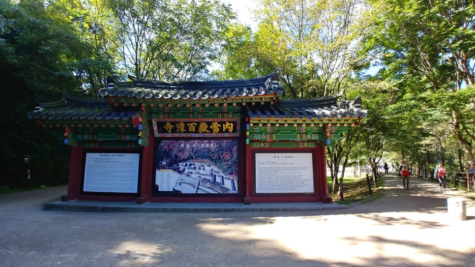 원통꼬마김밥 이미지