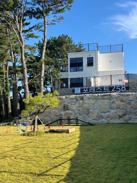 포레스트258/포레스트258펜션 이미지