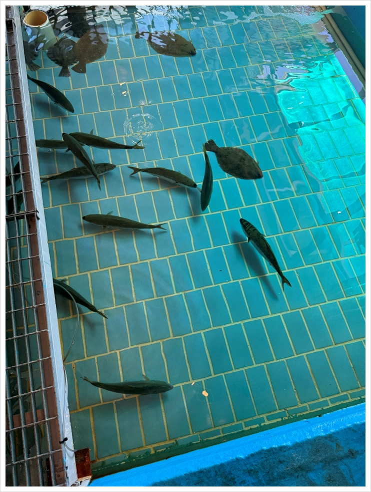 대륙수산 이미지