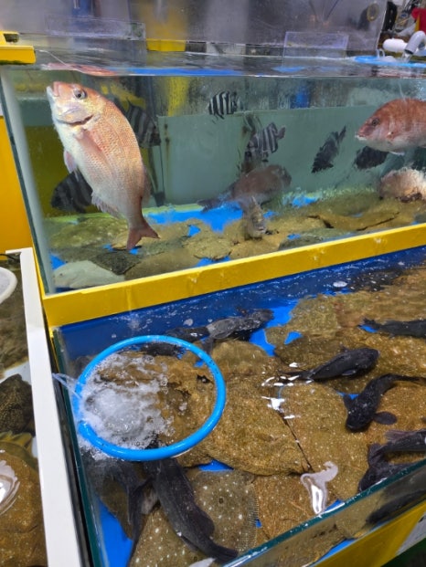 민성수산 이미지