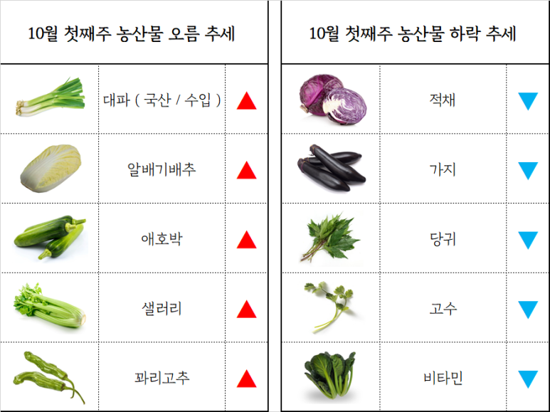 부산유통 이미지