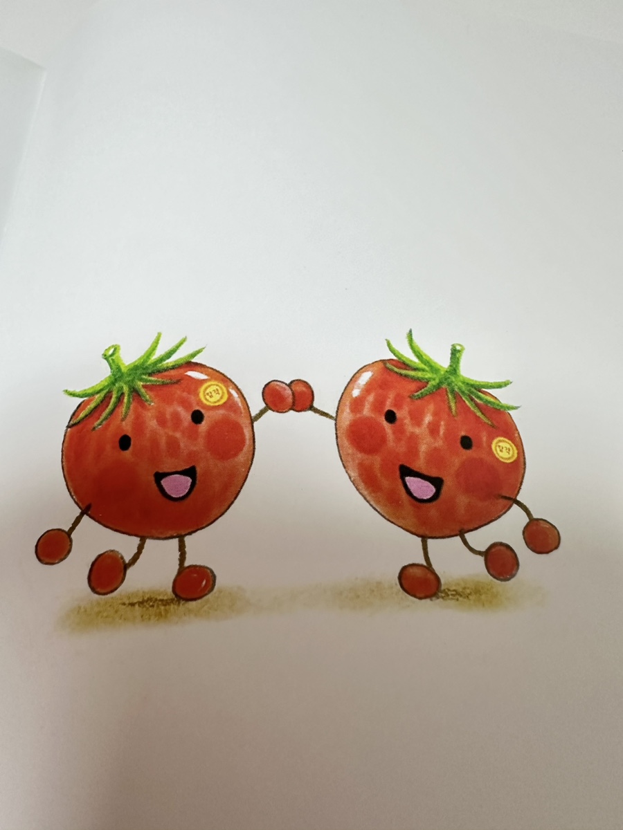 쌍둥이광택 이미지
