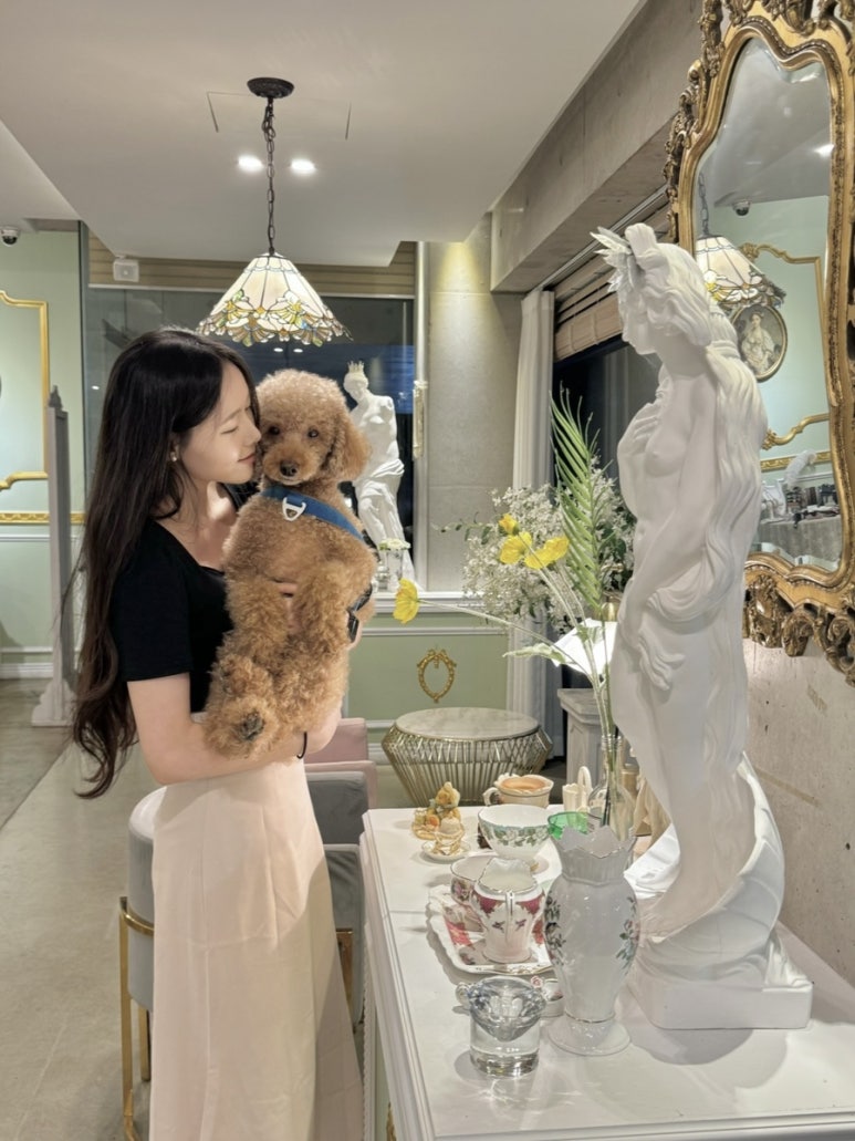 아노블리오 이미지