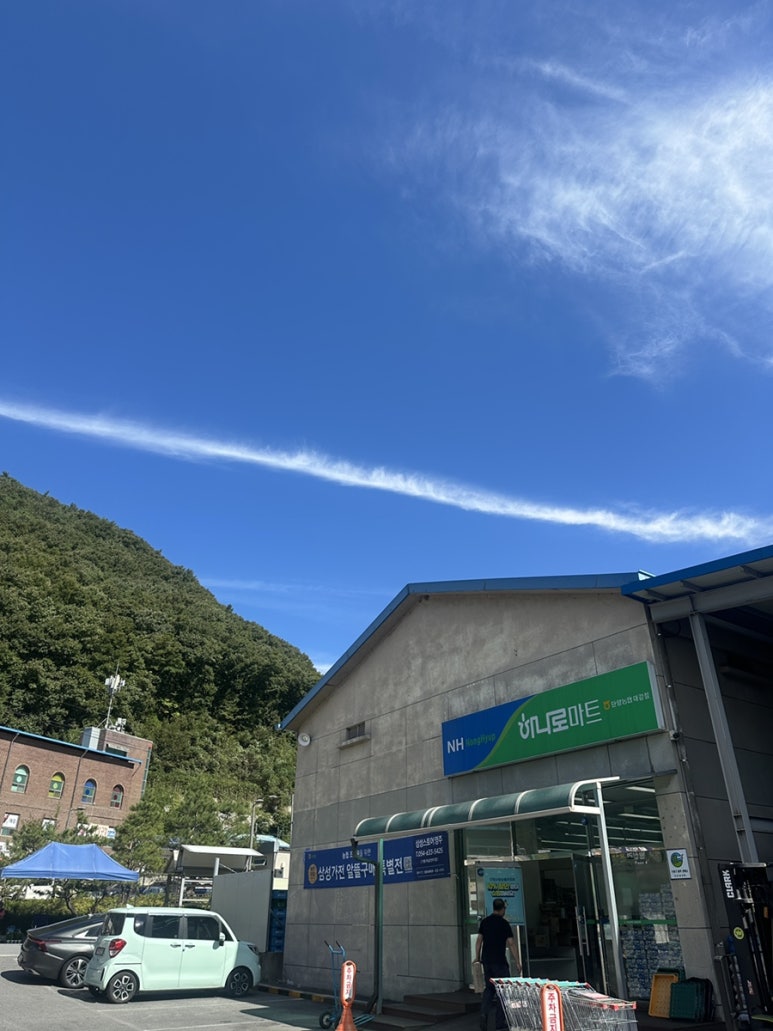 단양농협하나로마트 대강점 이미지