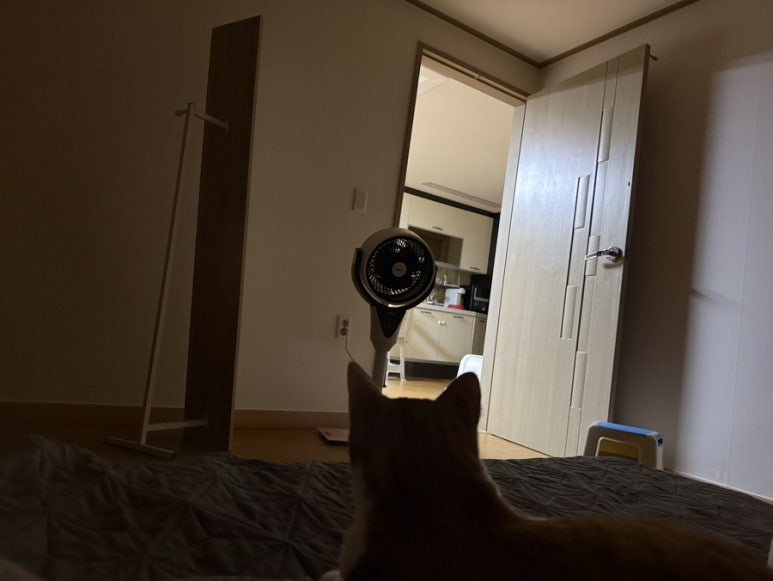 만냥족발 이미지