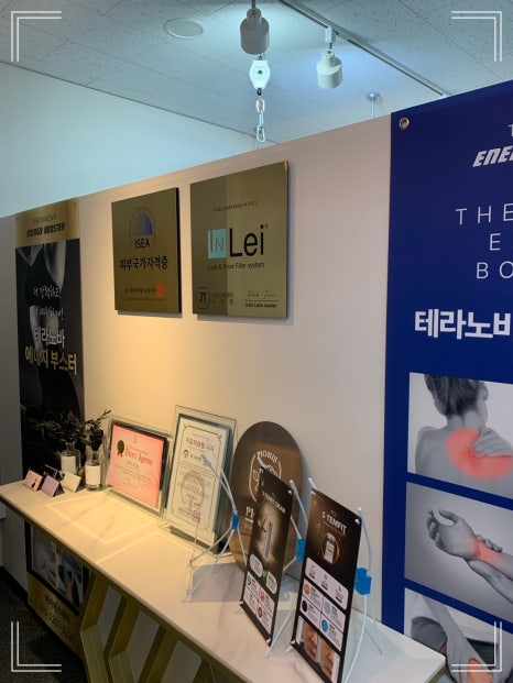 비비테라 이미지